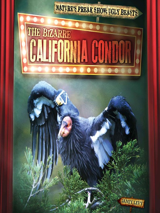 Title details for The Bizarre California Condor by Janey Levy - Available
